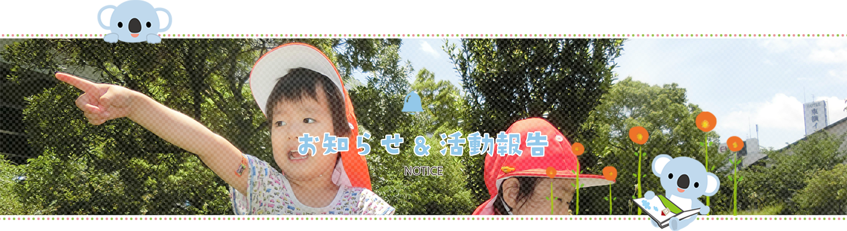 お知らせ&活動報告