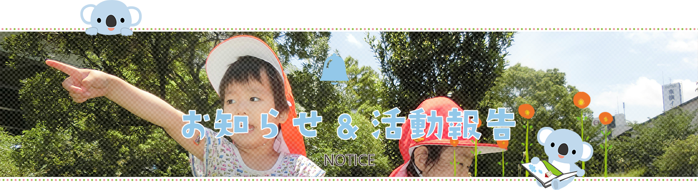お知らせ&活動報告